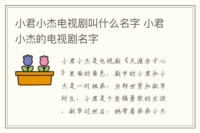 小君小杰電視劇叫什么名字 小君小杰的電視劇名字