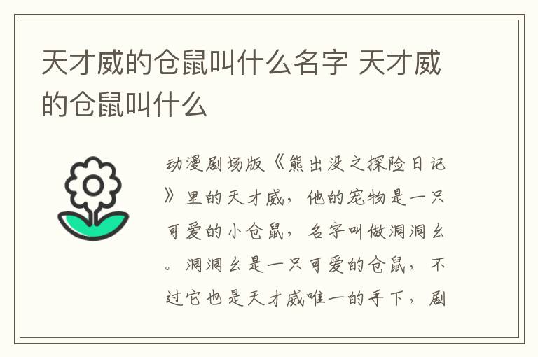天才威的倉鼠叫什么名字 天才威的倉鼠叫什么