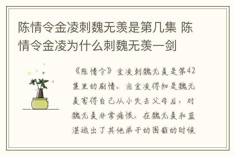 陳情令金凌刺魏無羨是第幾集 陳情令金凌為什么刺魏無羨一劍