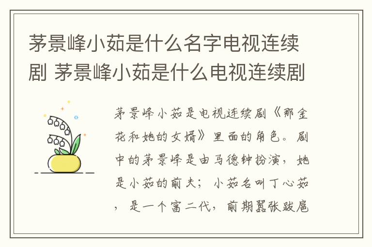 茅景峰小茹是什么名字電視連續(xù)劇 茅景峰小茹是什么電視連續(xù)劇