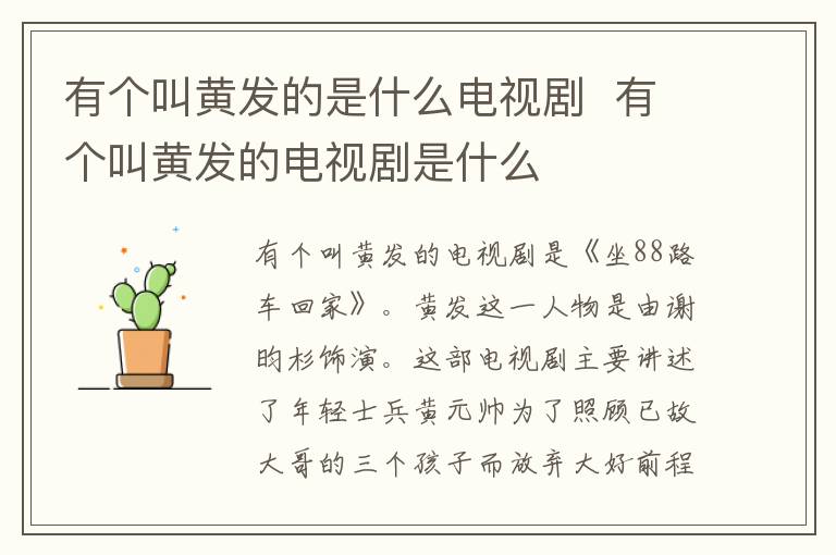 有個(gè)叫黃發(fā)的是什么電視劇  有個(gè)叫黃發(fā)的電視劇是什么