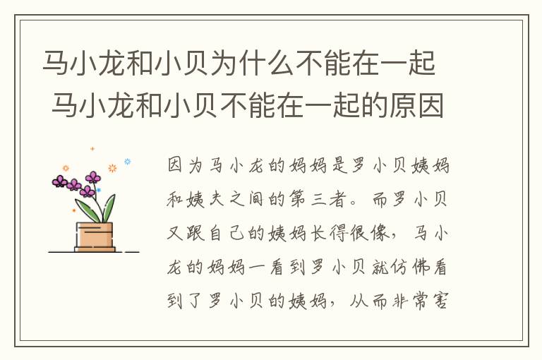 馬小龍和小貝為什么不能在一起 馬小龍和小貝不能在一起的原因
