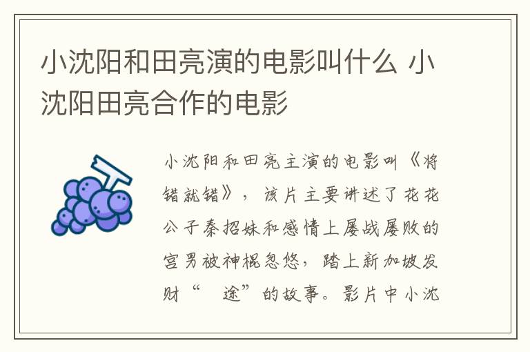 小沈陽(yáng)和田亮演的電影叫什么 小沈陽(yáng)田亮合作的電影