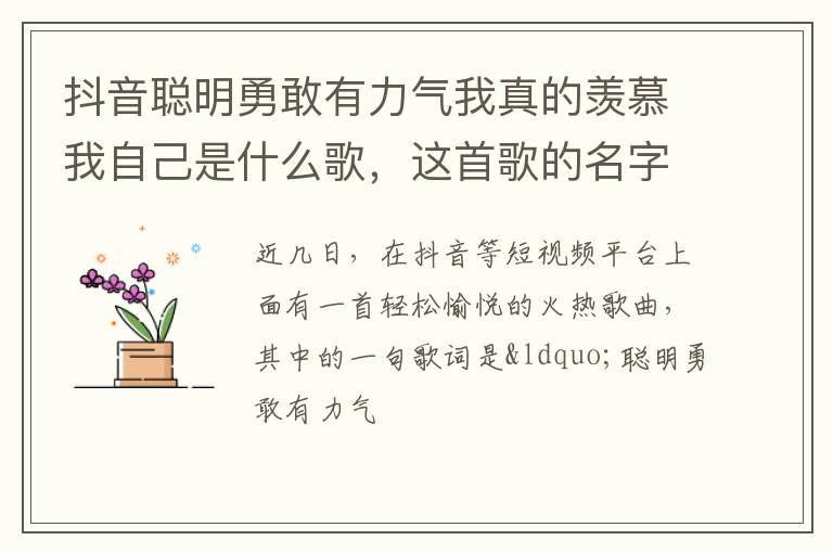 抖音聰明勇敢有力氣我真的羨慕我自己是什么歌，這首歌的名字叫什么？