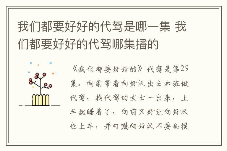 我們都要好好的代駕是哪一集 我們都要好好的代駕哪集播的