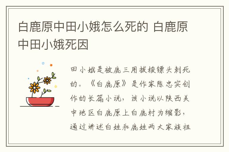 白鹿原中田小娥怎么死的 白鹿原中田小娥死因