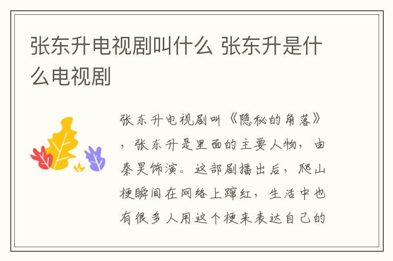 張東升電視劇叫什么 張東升是什么電視劇