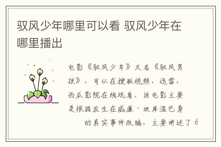 馭風少年哪里可以看 馭風少年在哪里播出