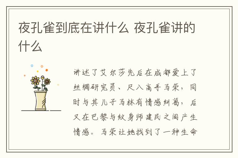 夜孔雀到底在講什么 夜孔雀講的什么
