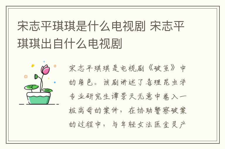 宋志平琪琪是什么電視劇 宋志平琪琪出自什么電視劇