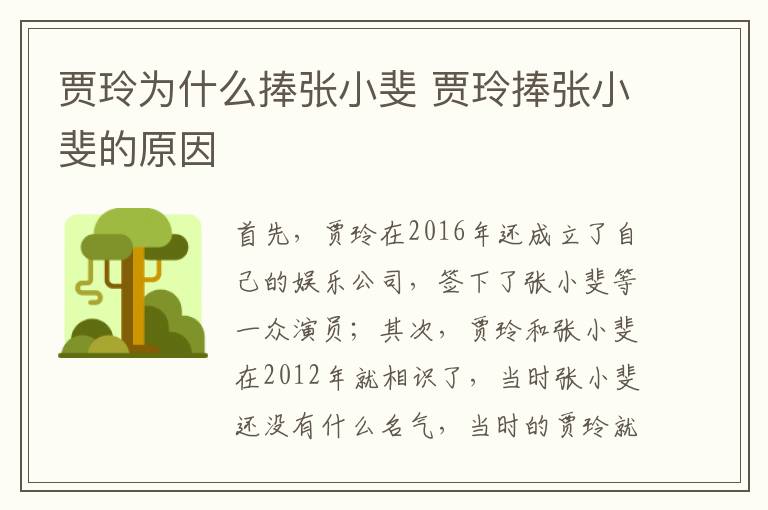 賈玲為什么捧張小斐 賈玲捧張小斐的原因