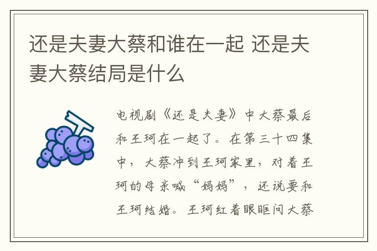 還是夫妻大蔡和誰(shuí)在一起 還是夫妻大蔡結(jié)局是什么