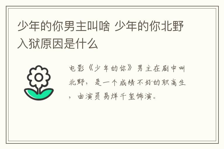 少年的你男主叫啥 少年的你北野入獄原因是什么