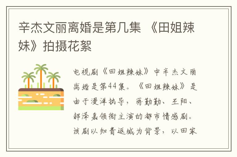 辛杰文麗離婚是第幾集 《田姐辣妹》拍攝花絮
