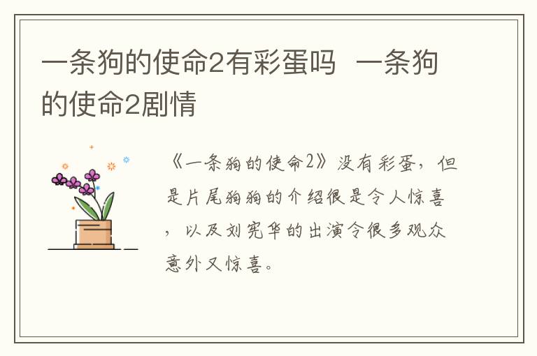 一條狗的使命2有彩蛋嗎  一條狗的使命2劇情