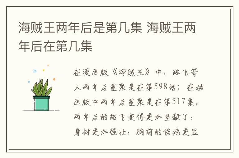 海賊王兩年后是第幾集 海賊王兩年后在第幾集