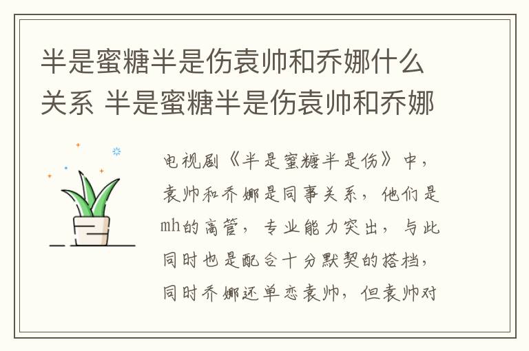 半是蜜糖半是傷袁帥和喬娜什么關(guān)系 半是蜜糖半是傷袁帥和喬娜的關(guān)系