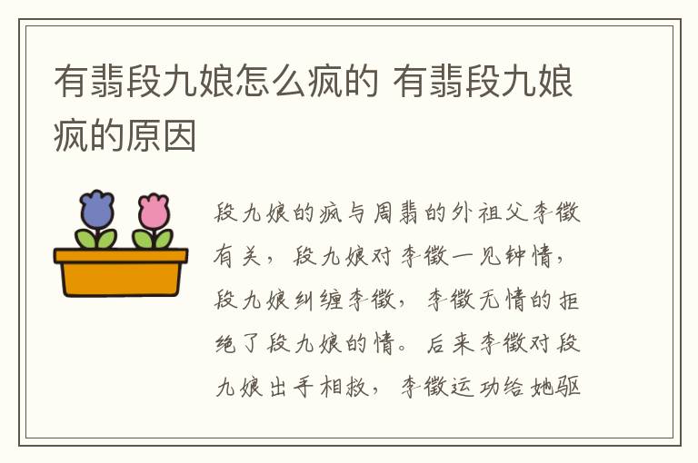 有翡段九娘怎么瘋的 有翡段九娘瘋的原因
