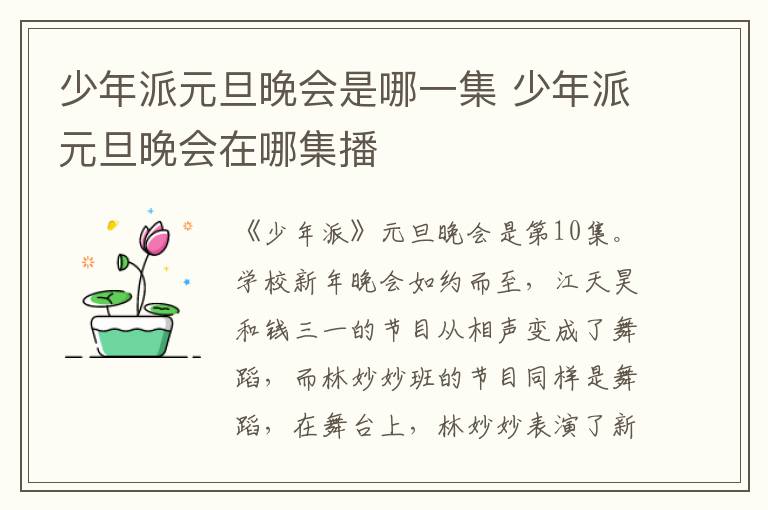 少年派元旦晚會是哪一集 少年派元旦晚會在哪集播