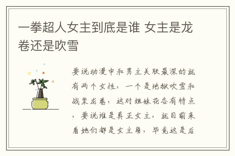 一拳超人女主到底是誰(shuí) 女主是龍卷還是吹雪