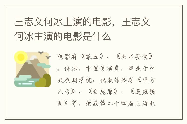 王志文何冰主演的電影，王志文何冰主演的電影是什么