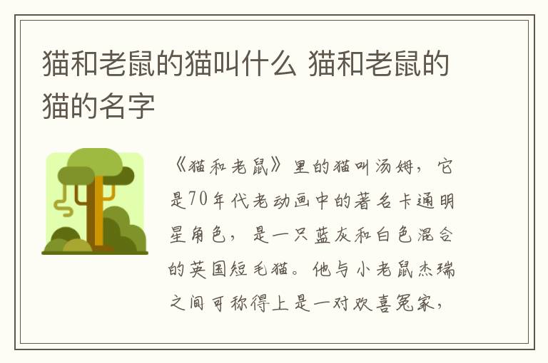 貓和老鼠的貓叫什么 貓和老鼠的貓的名字