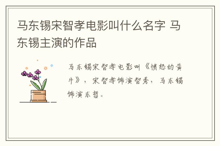 馬東錫宋智孝電影叫什么名字 馬東錫主演的作品