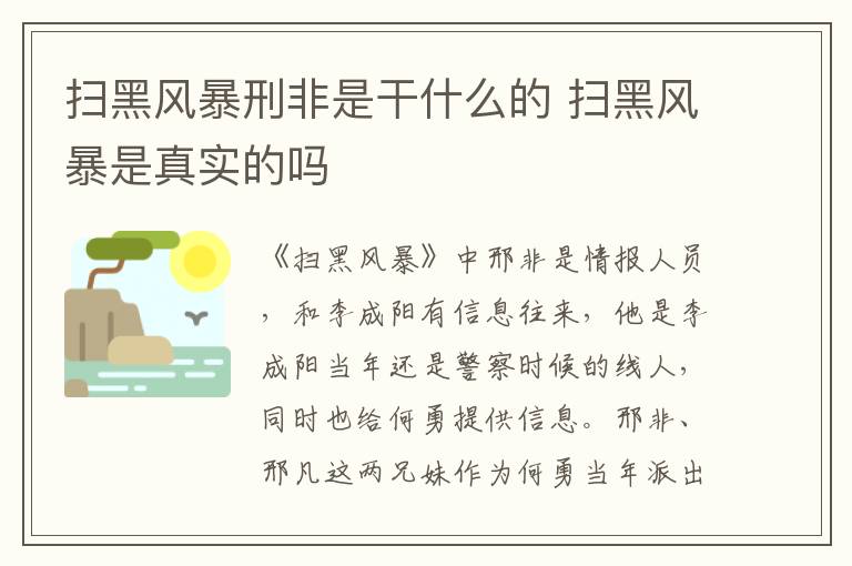 掃黑風(fēng)暴刑非是干什么的 掃黑風(fēng)暴是真實的嗎