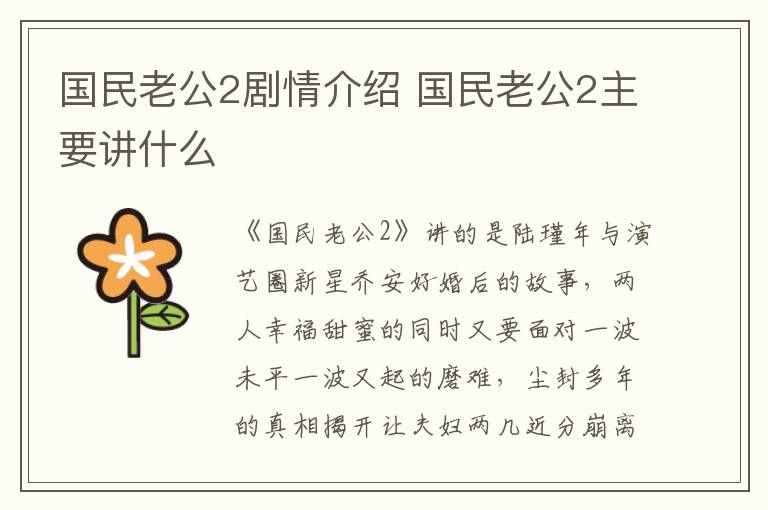 國民老公2劇情介紹 國民老公2主要講什么