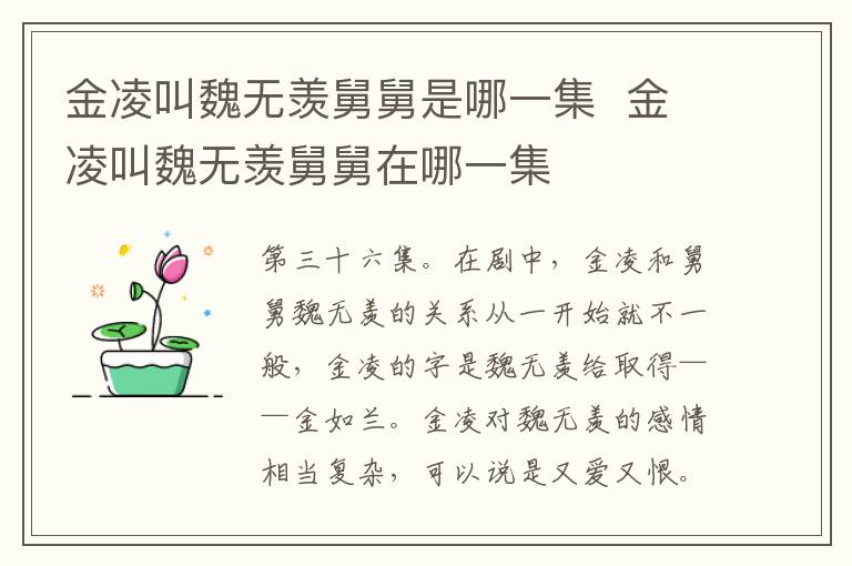 金凌叫魏無(wú)羨舅舅是哪一集  金凌叫魏無(wú)羨舅舅在哪一集