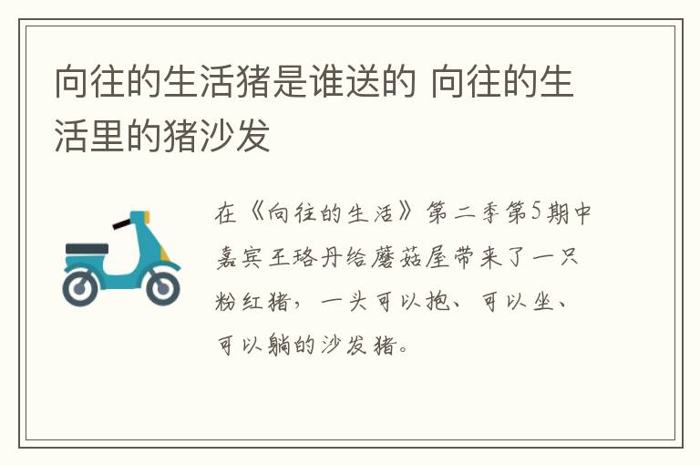 向往的生活豬是誰送的 向往的生活里的豬沙發(fā)