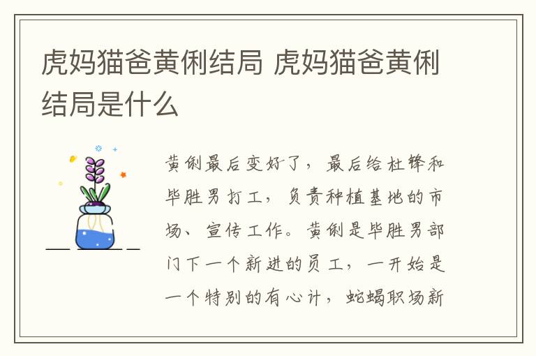 虎媽貓爸黃俐結(jié)局 虎媽貓爸黃俐結(jié)局是什么