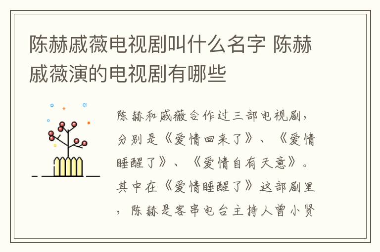 陳赫戚薇電視劇叫什么名字 陳赫戚薇演的電視劇有哪些