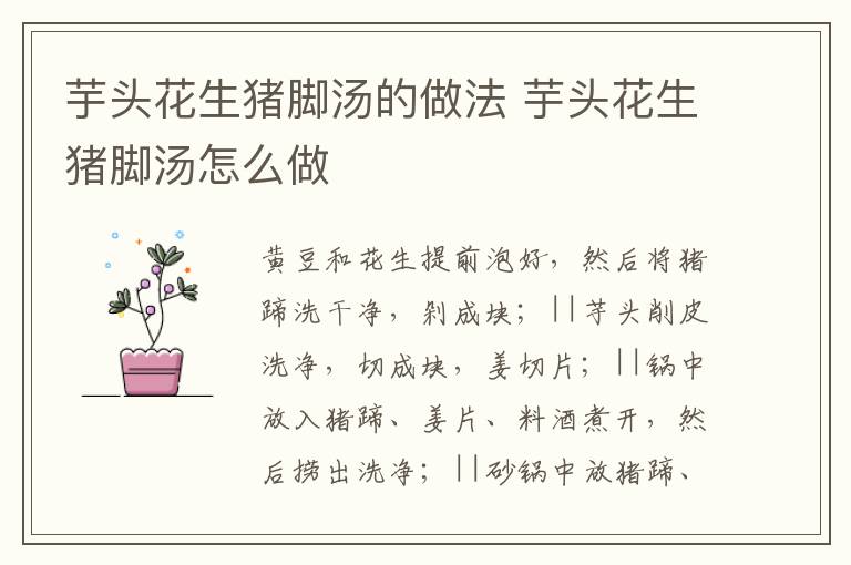 芋頭花生豬腳湯的做法 芋頭花生豬腳湯怎么做