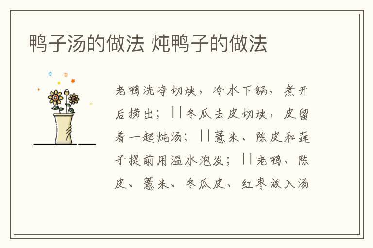 鴨子湯的做法 燉鴨子的做法