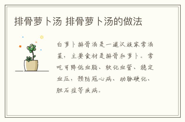 排骨蘿卜湯 排骨蘿卜湯的做法
