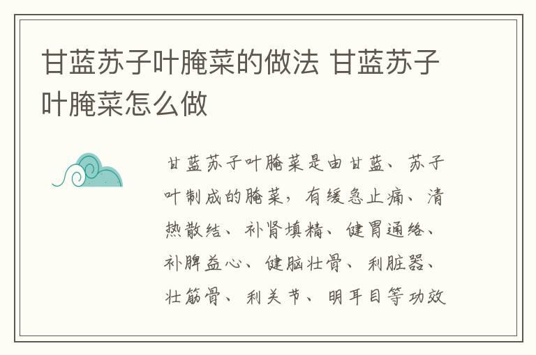 甘藍蘇子葉腌菜的做法 甘藍蘇子葉腌菜怎么做