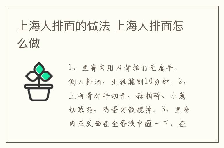上海大排面的做法 上海大排面怎么做