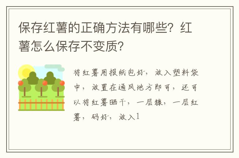 保存紅薯的正確方法有哪些？紅薯怎么保存不變質(zhì)？