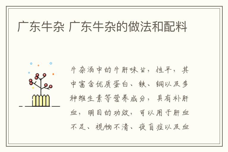 廣東牛雜 廣東牛雜的做法和配料