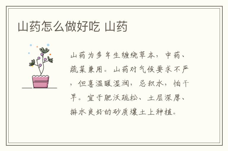 山藥怎么做好吃 山藥