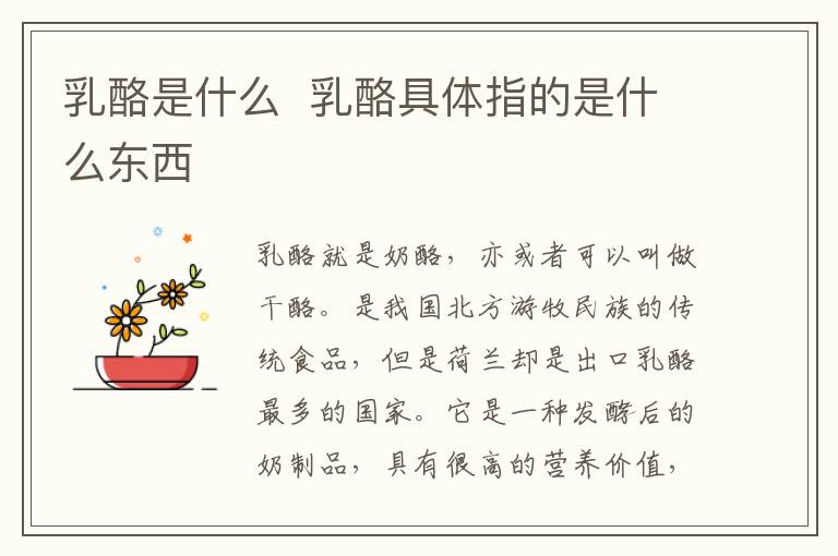 乳酪是什么  乳酪具體指的是什么東西