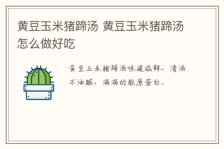 黃豆玉米豬蹄湯 黃豆玉米豬蹄湯怎么做好吃