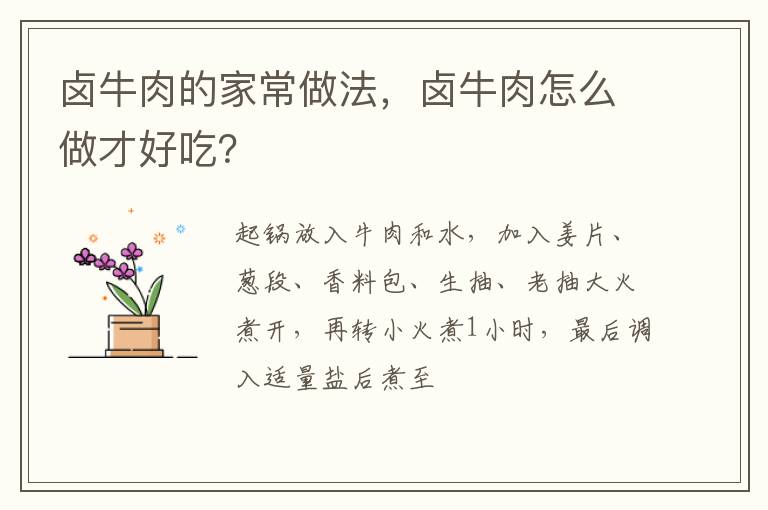 鹵牛肉的家常做法，鹵牛肉怎么做才好吃？