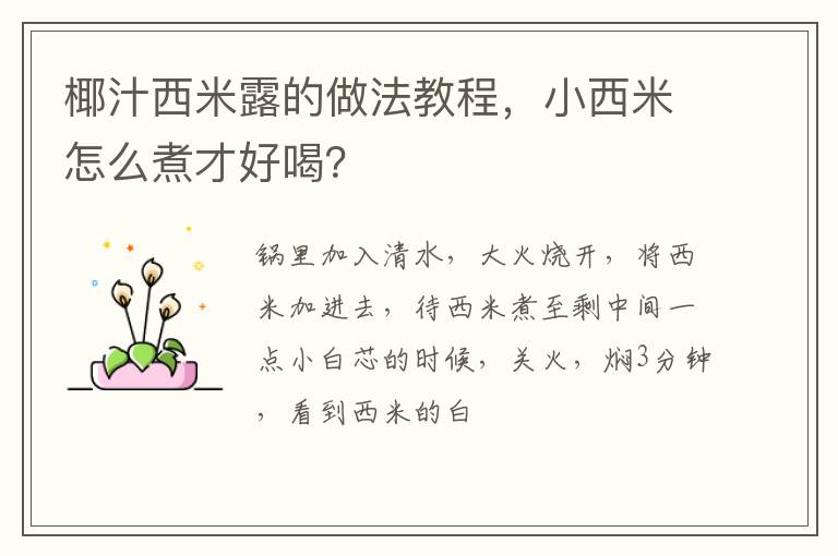 椰汁西米露的做法教程，小西米怎么煮才好喝？