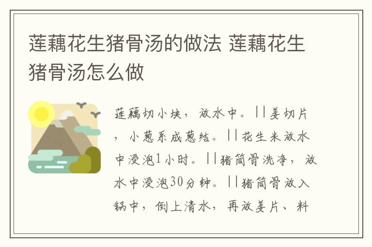 蓮藕花生豬骨湯的做法 蓮藕花生豬骨湯怎么做