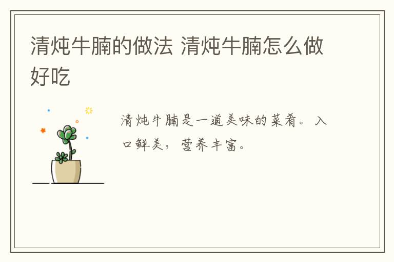 清燉牛腩的做法 清燉牛腩怎么做好吃