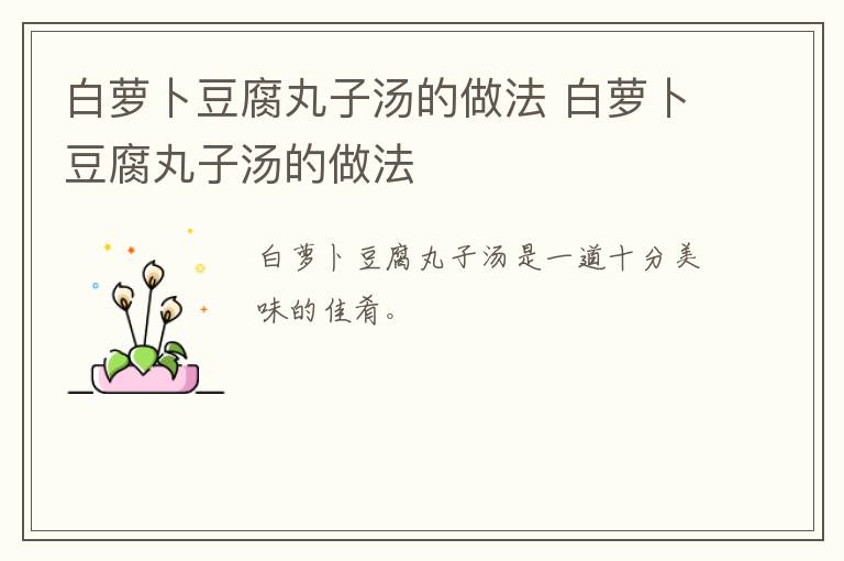 白蘿卜豆腐丸子湯的做法 白蘿卜豆腐丸子湯的做法
