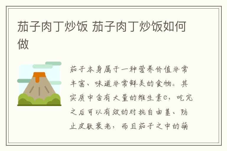 茄子肉丁炒飯 茄子肉丁炒飯如何做