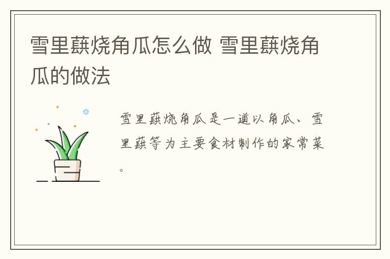 雪里蕻燒角瓜怎么做 雪里蕻燒角瓜的做法